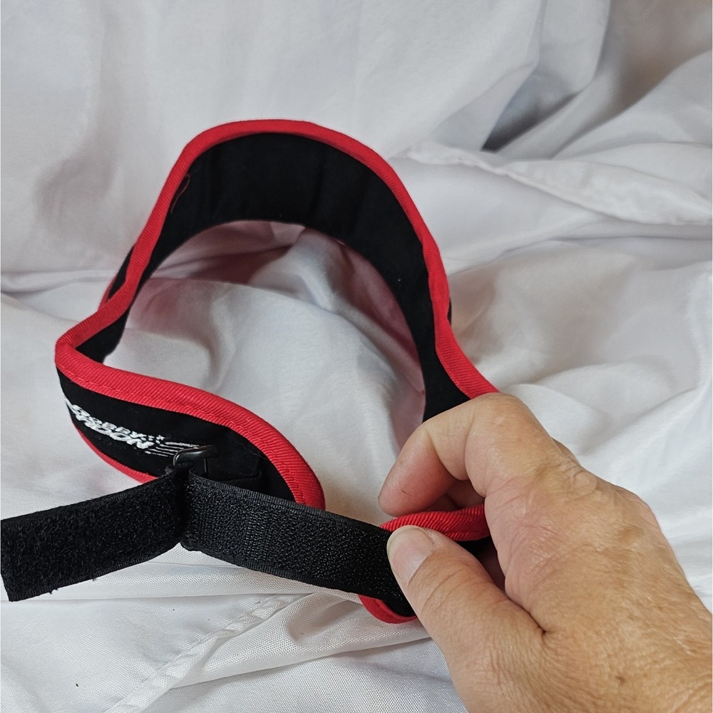 JIM BEAM RACING (Adjustable) Visor 2008- Robby Gordon - Picture 10 of 13